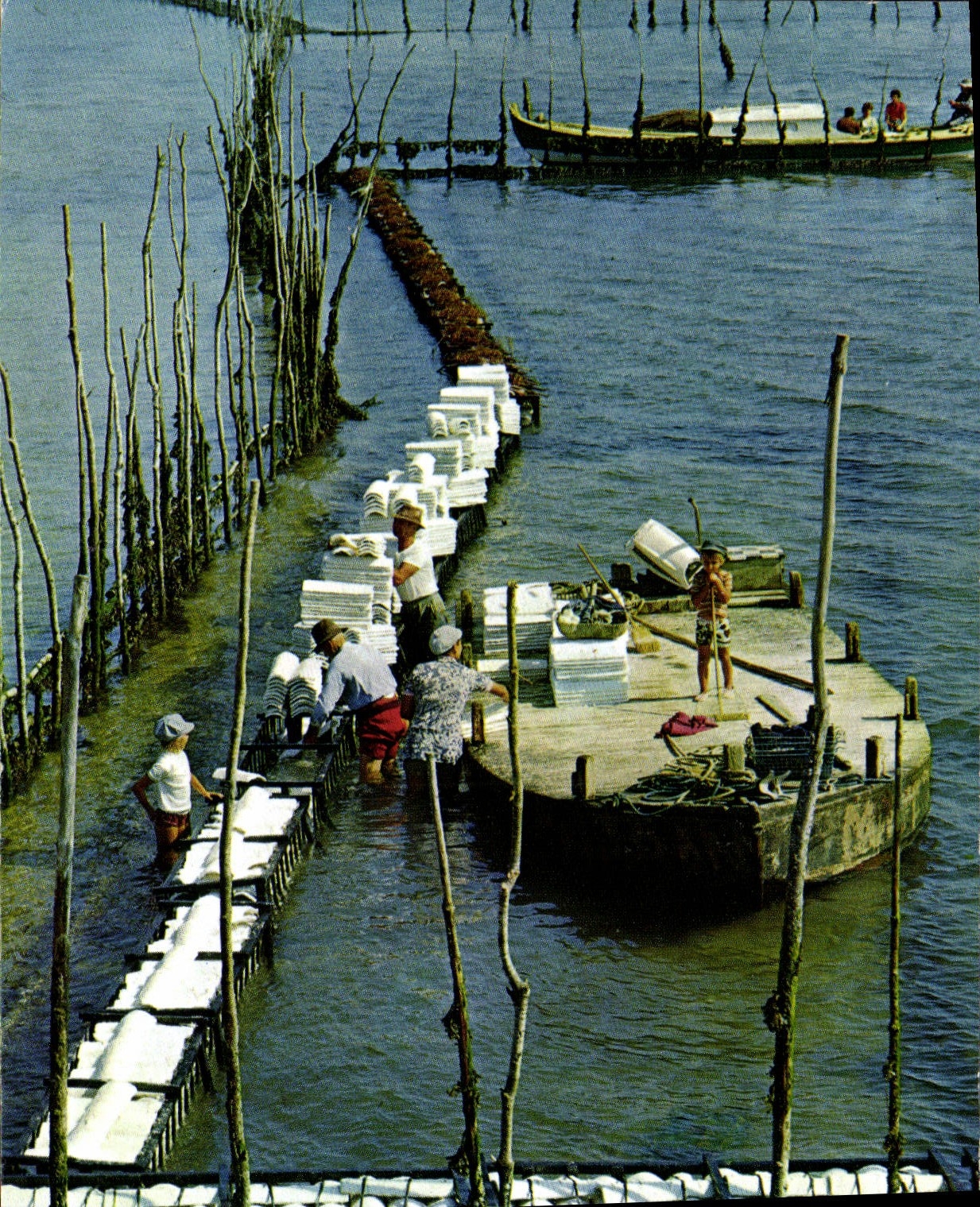 Bassin d'Arcachon — Travail ostréicole, la pose des tuiles — Éditions d'Art Yvon Arcueil