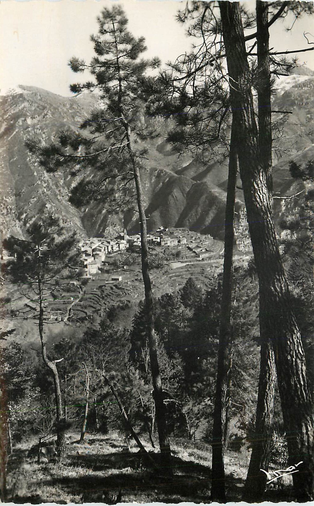 Utelelle (A.M.) — Vue depuis la route forestière menant à la Madone (1.174 m) — Y. Duperre