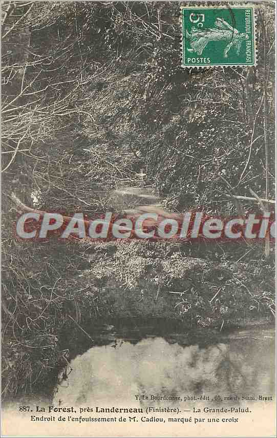 CPA La Forest pres Landerneau (Finistere) la Grande Palud