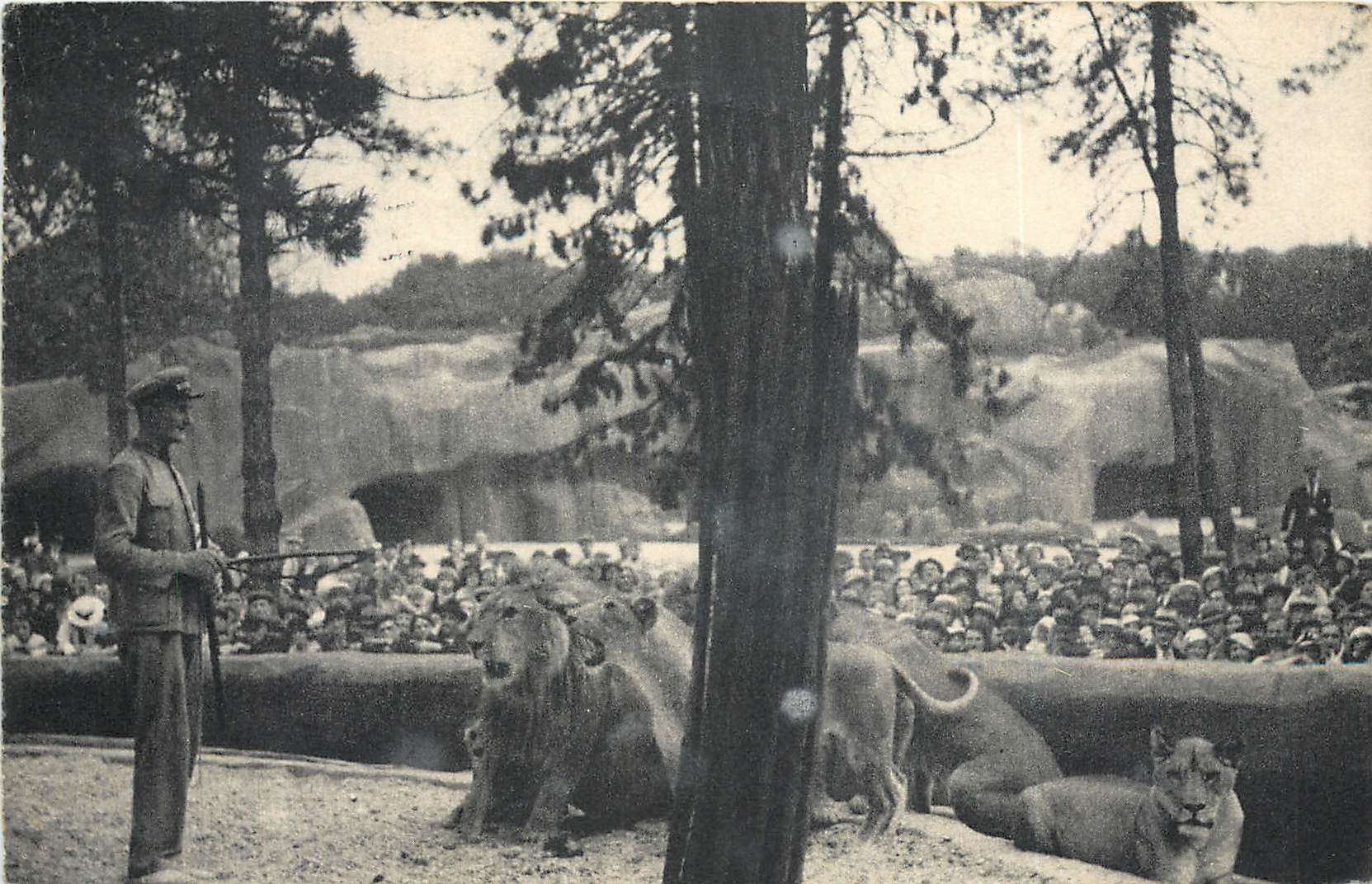 Spectacle de lions — Muséum national d'Histoire naturelle, Parc zoologique du Bois de Vincennes — n° 156