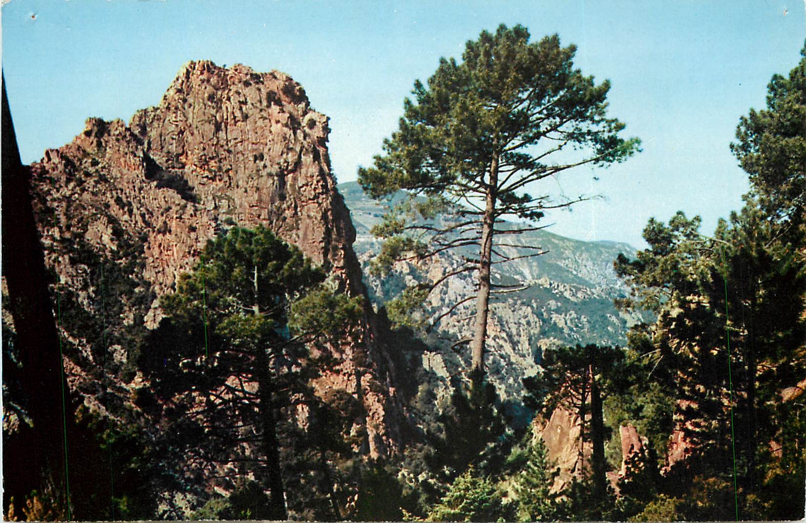 Les Calanques — Agglomération de rochers granitiques au milieu d'une intense végétation — COULEURS ET LUMIÈRE DE FRANCE, n° 7210