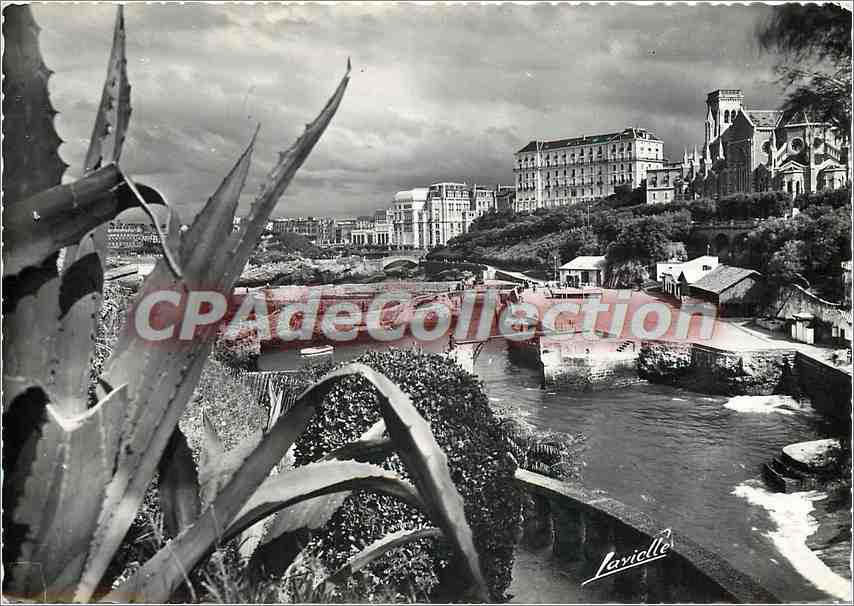 CPSM Biarritz le Port des Pecheurs