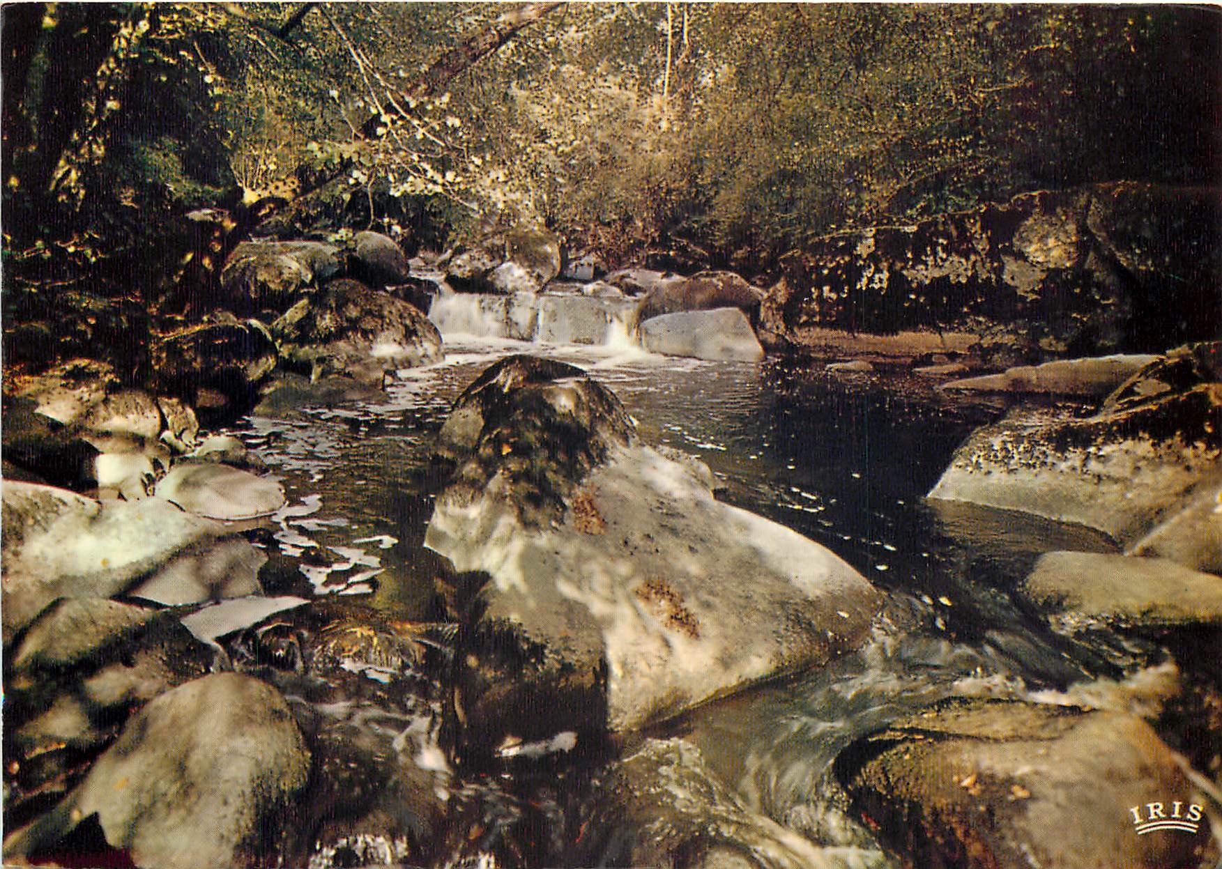 Le saut de la Brâme — Environs de Montmorillon — Éditeur IRIS, n° 860012