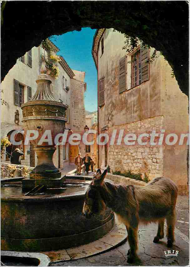 Brunnen und Esel — Saint-Paul-de-Vence — IRIS