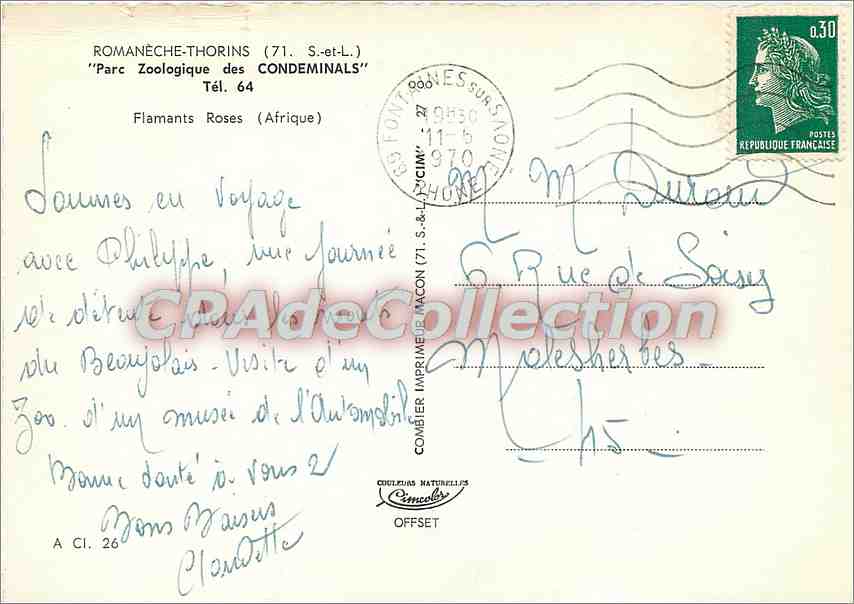 CPSM Romaneche (S et L) Parc Zoologique des Condeminals Flamants Roses (Afrique) — Verso