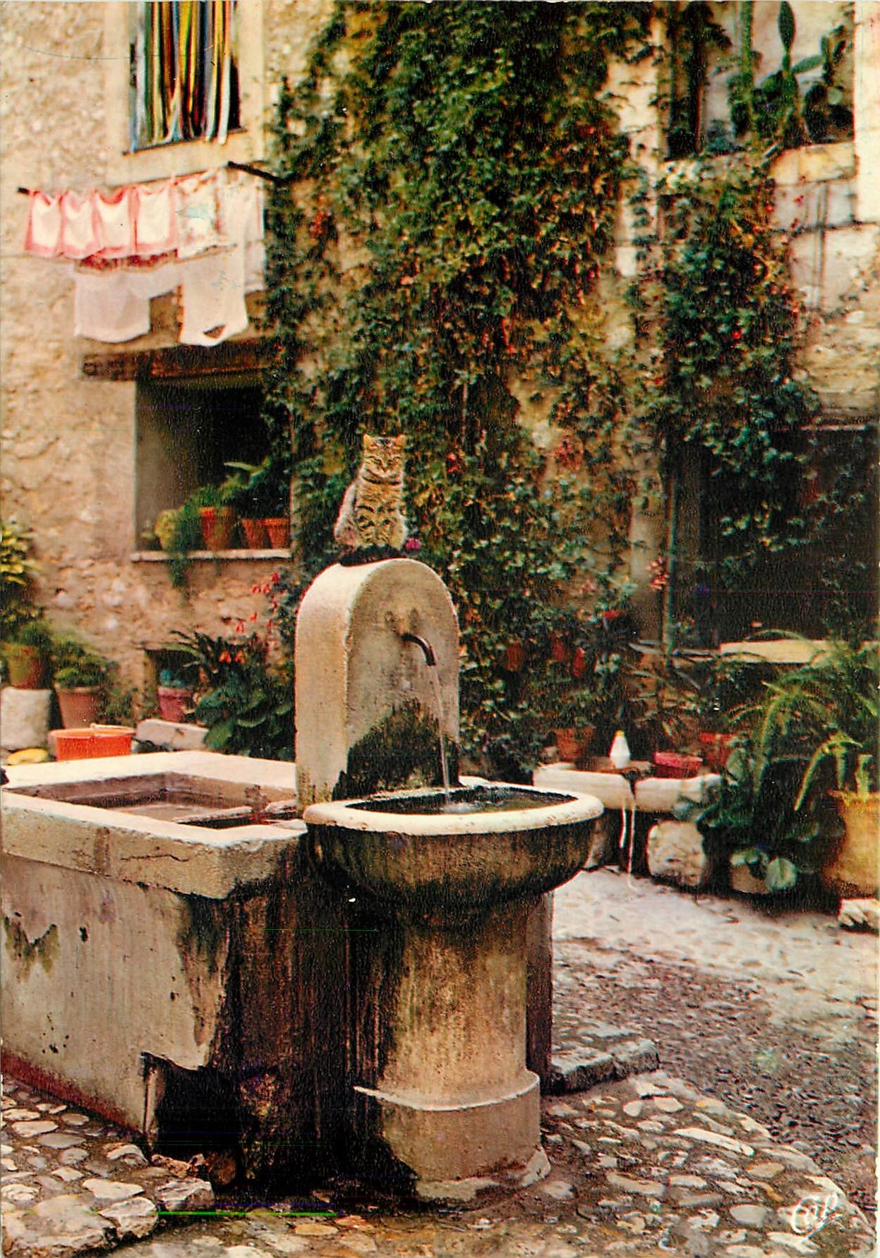 CPSM Cote d'Azur Carrefour Mondial du Tourisme la Fontaine au chat
