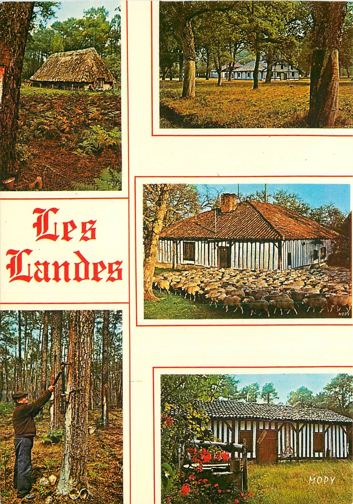 Les Landes — Maisons Landaises — MOPY