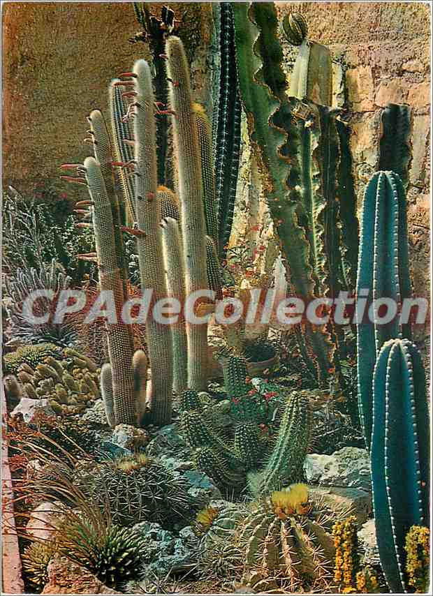 Jardin Exotique de Sanary — Bandol — Les Éditions Sina