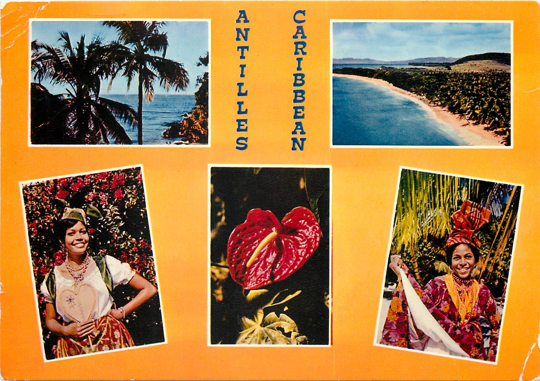 CPSM Antilles Radieuse The enchanting Caribbean