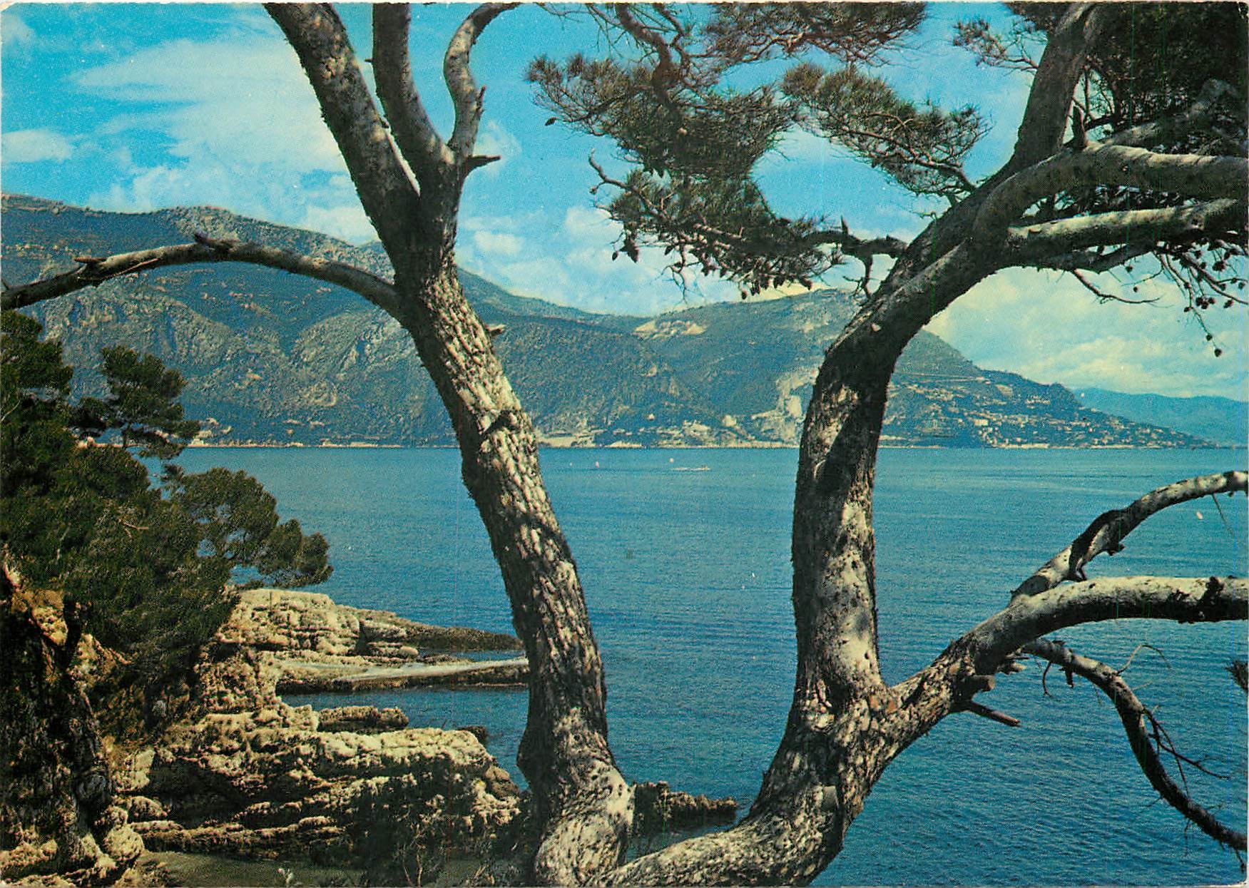 Vue de la promenade Maurice Rouvier — St-Jean-Cap-Ferrat — Éditions E.P.T. - 35