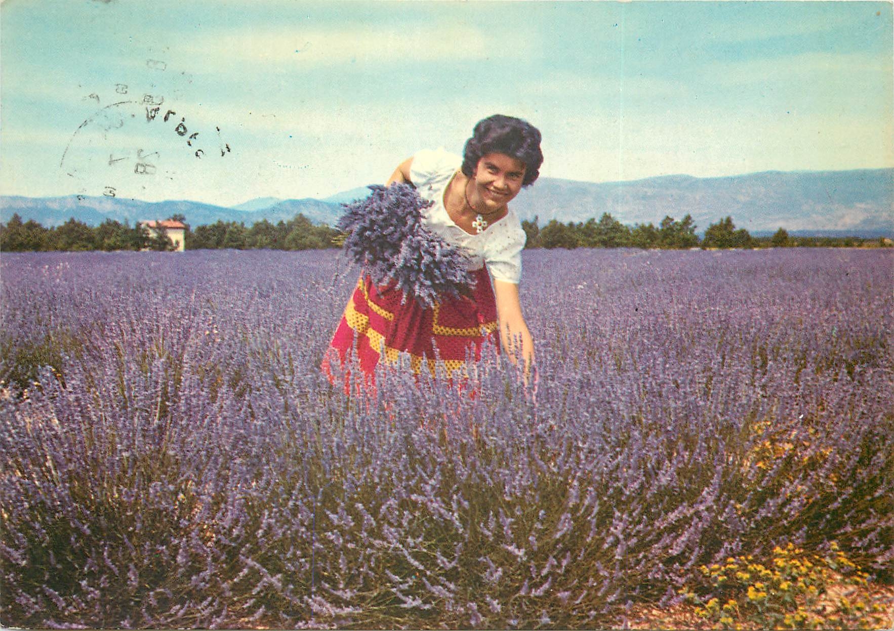 Femme dans un champ de lavande — Haute-Provence — Editions Coloradia