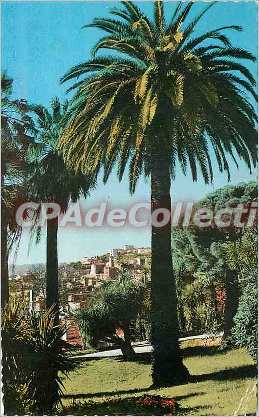 CPSM Grasse Vegetation mediterraneenne et la ville