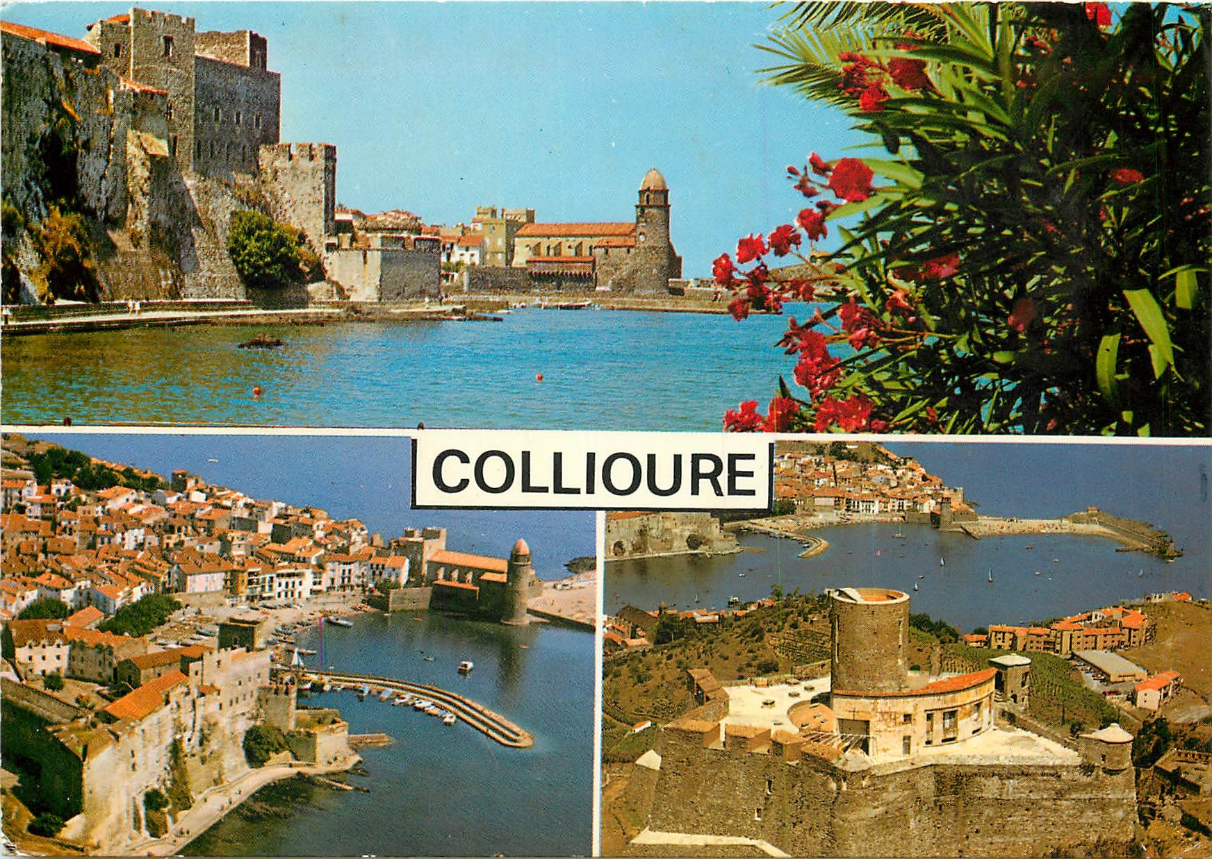 CPSM Collioure (Pyr Or) Regards sur cette cifarmante Station estivale