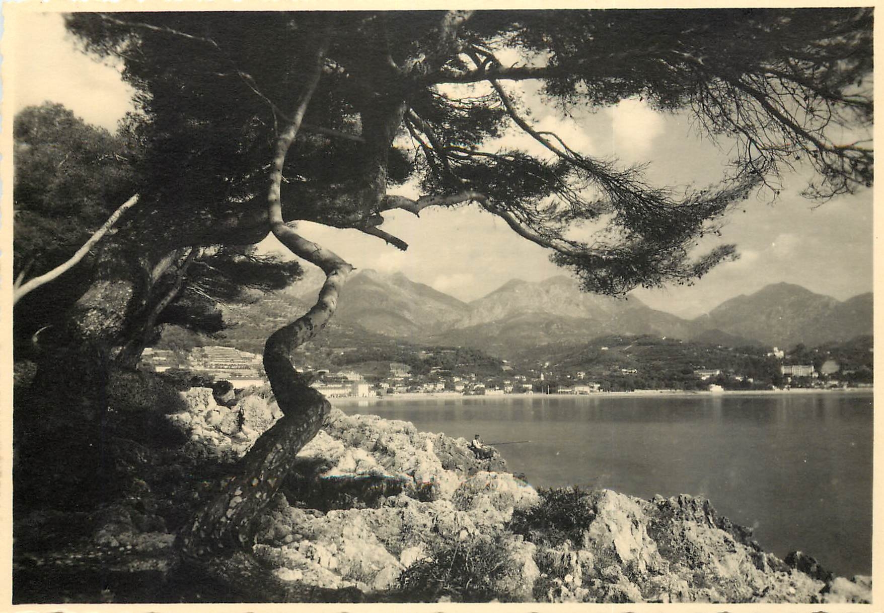 Vue de la côte d'Azur — arbre en premier plan — Glichés d'Azur