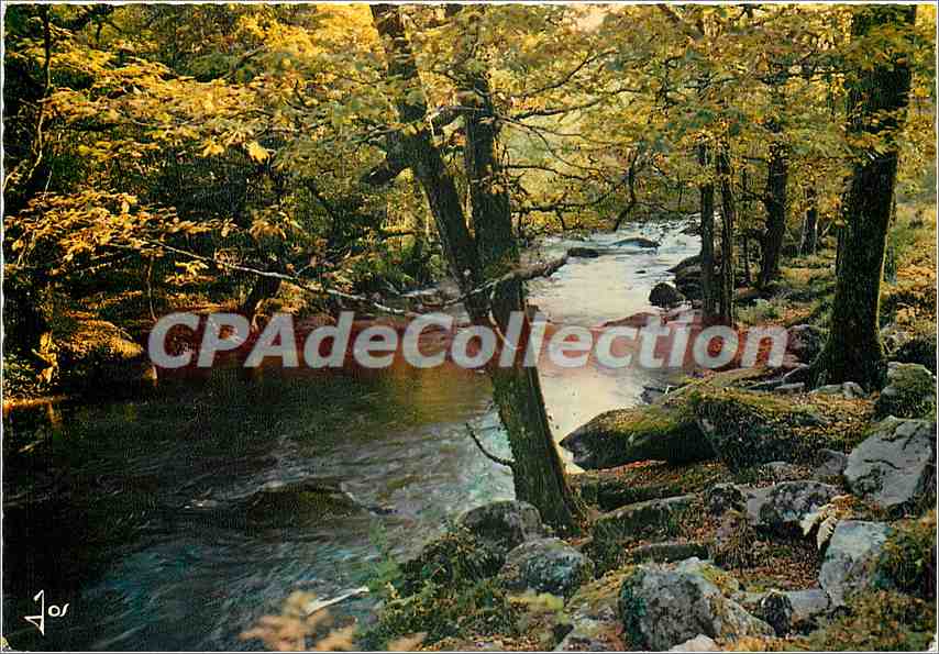 Halbmoderne Ansichtskarte Farbige Ansichten der Bretagne zwischen der Faouet und Hennebont, das Tal des Scorff im Wald von Pont