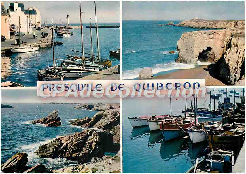 CPSM La Bretagne en couleurs Presqu'ile de Quibero (Morbihan) La cote Sauvage Port Haliguen et Port
