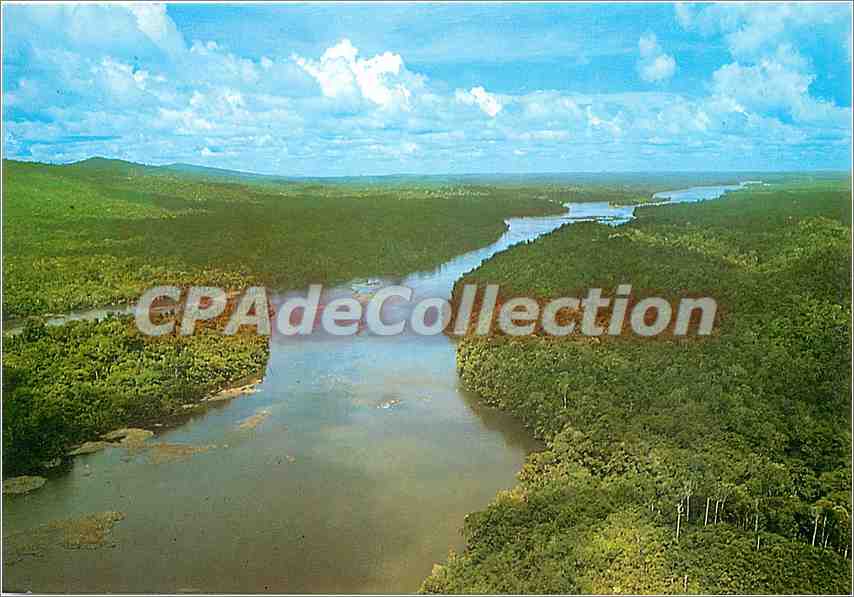 CPSM Guyane Francaise Vue aerienne du Maroni