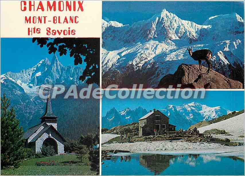CPSM Chamonix Mont Blanc (Hte Sav)