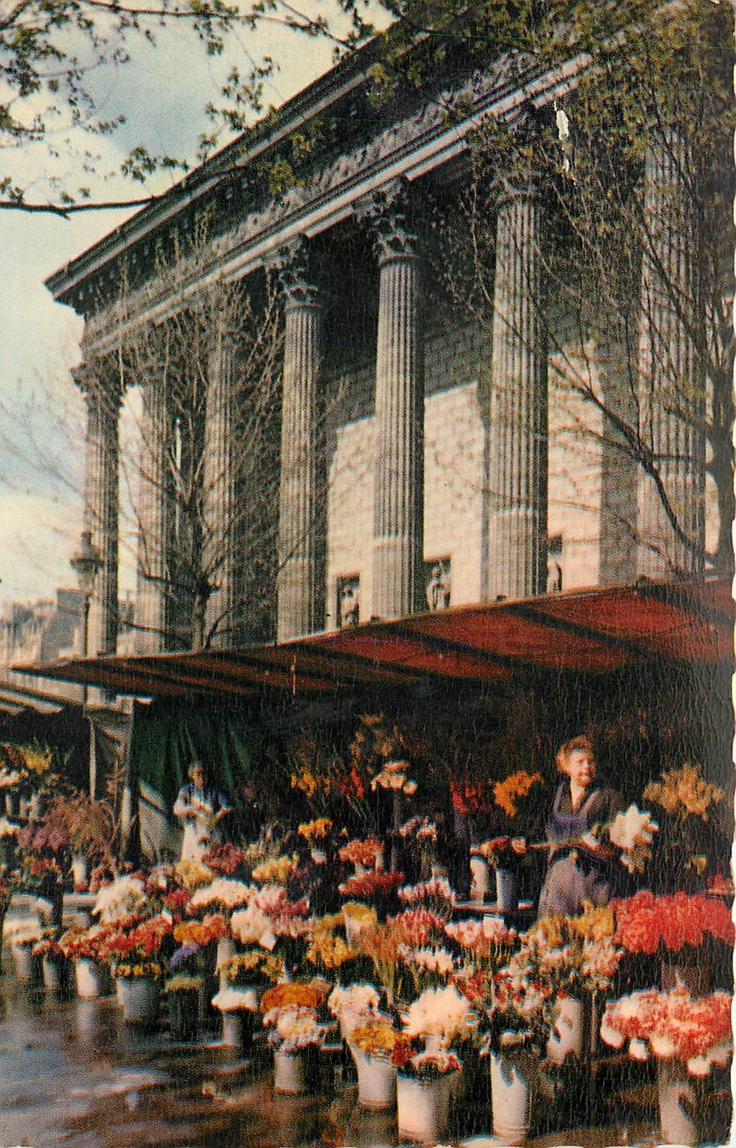 Place de la Madeleine — Marché aux Fleurs — ALFACOLOR n°713