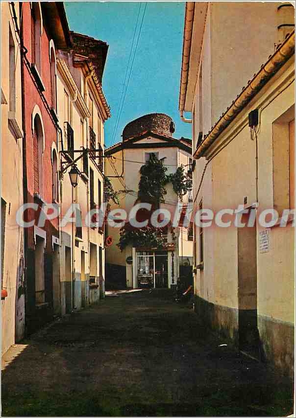CPSM Amelie les Bains (Alt 230 m) Perle des Pyrenees Palalda Rue generale de Gaulle dans le fond la 