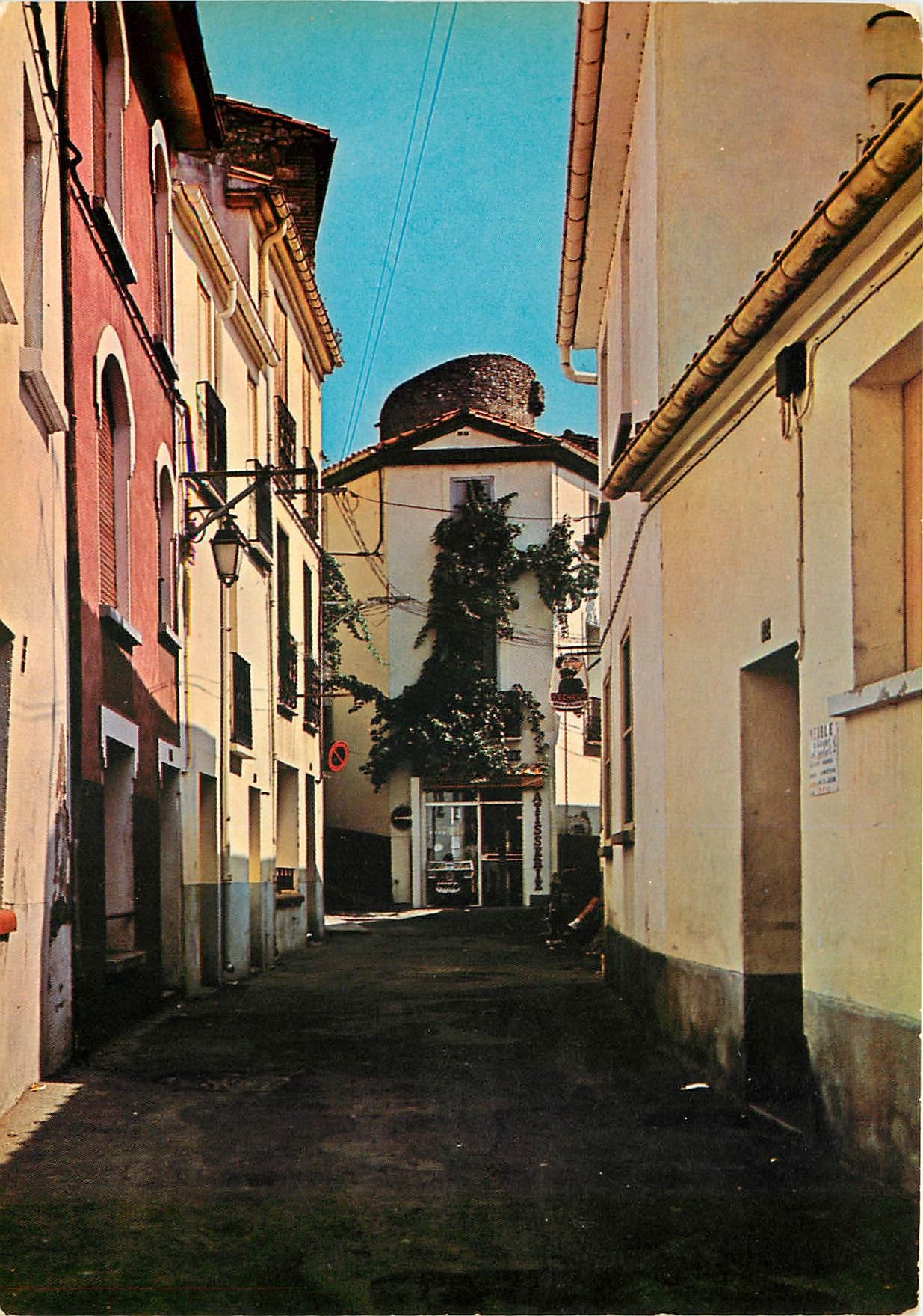 CPSM Amelie les Bains (Alt 230 m) Perle des Pyrenees Palalda Rue generale de Gaulle dans le fond la 