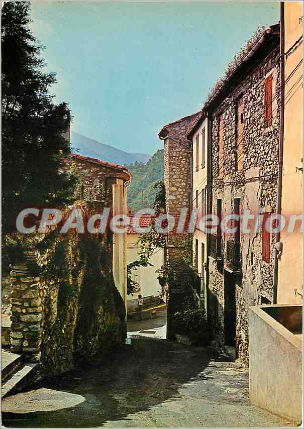CPSM Amelie les Bains (Alt 230 m) Perle des Pyrenees Palalda Carrer de l'Aire