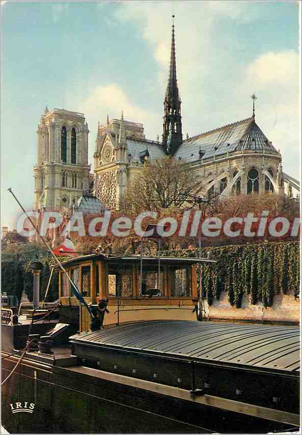 Notre-Dame de Paris — vue depuis le quai — IRIS