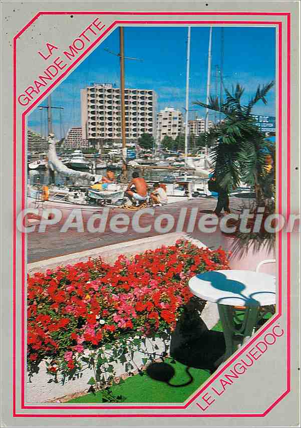 CPSM Le Languedoc La Grande Motte Ville de l'An 2000 Un coin du Port de plaisance a l'arriere plan l