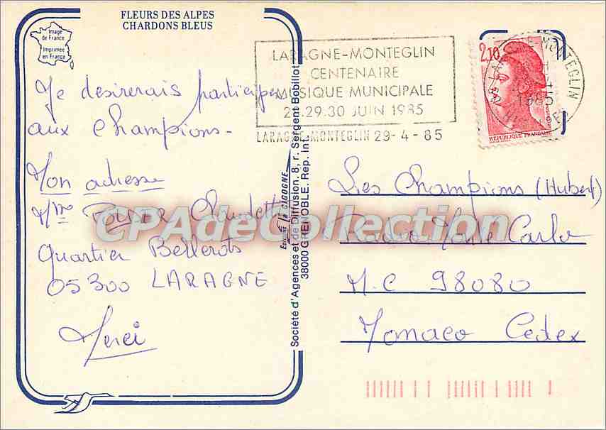 CPSM Fleurs des Alpes Chardons Bleus — Rückseite