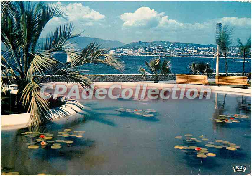 Le nouveau jardin - au fond la Croisette — Cannes — Éditions IRIS, n° 383