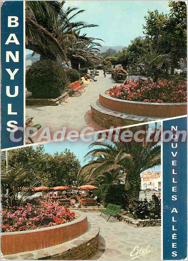 CPSM Banyuls sur Mer (P O) Les nouvelles allees