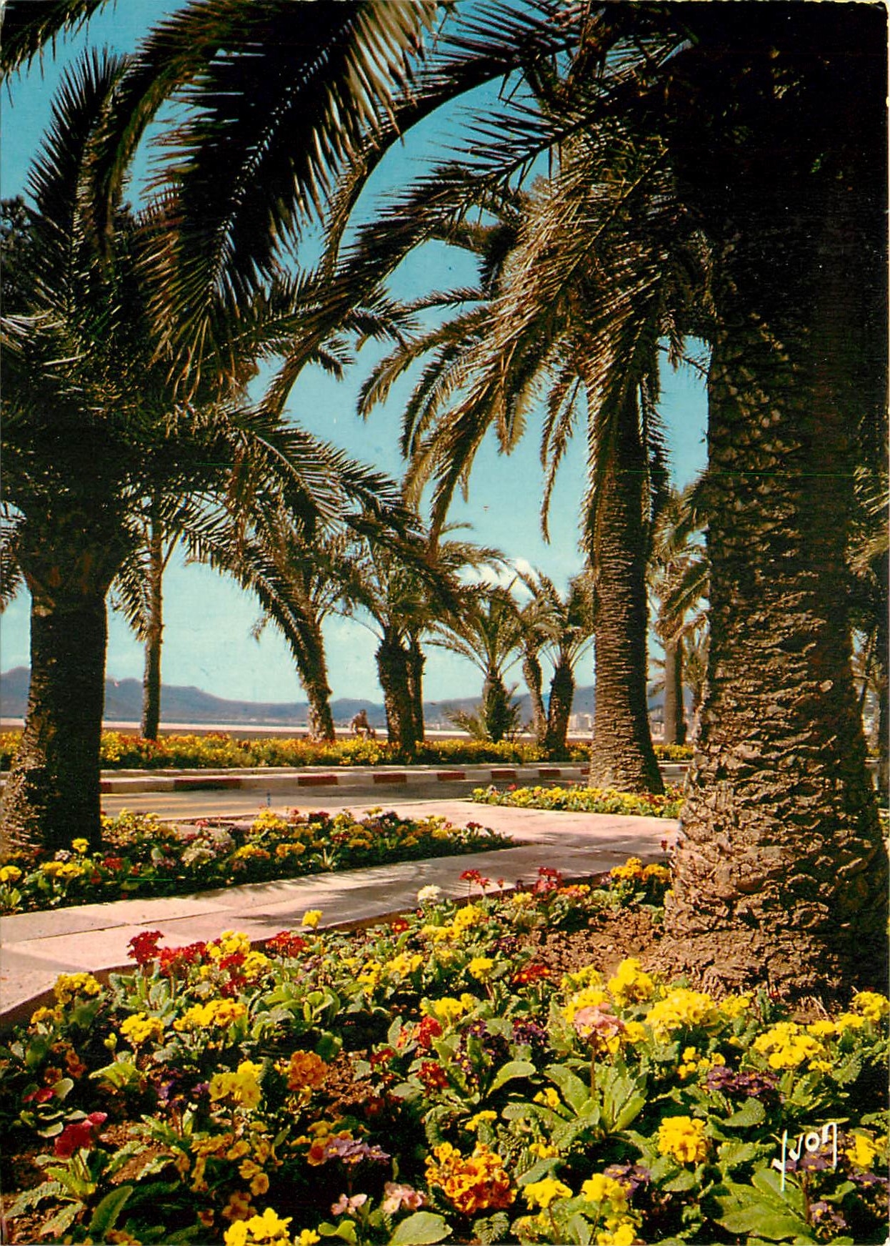 Cannes — Les Parterres fleuris de la Croisette — Éditions de Cannes