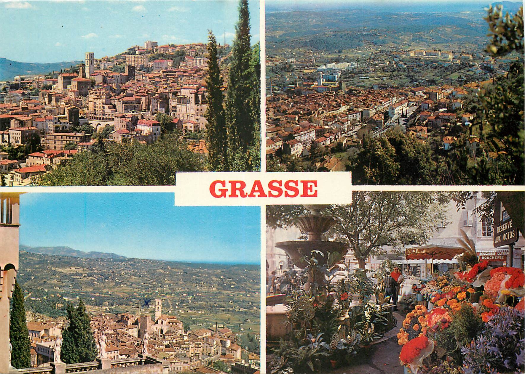 Grasse — vue panoramique et marché floral — éditeur G 16