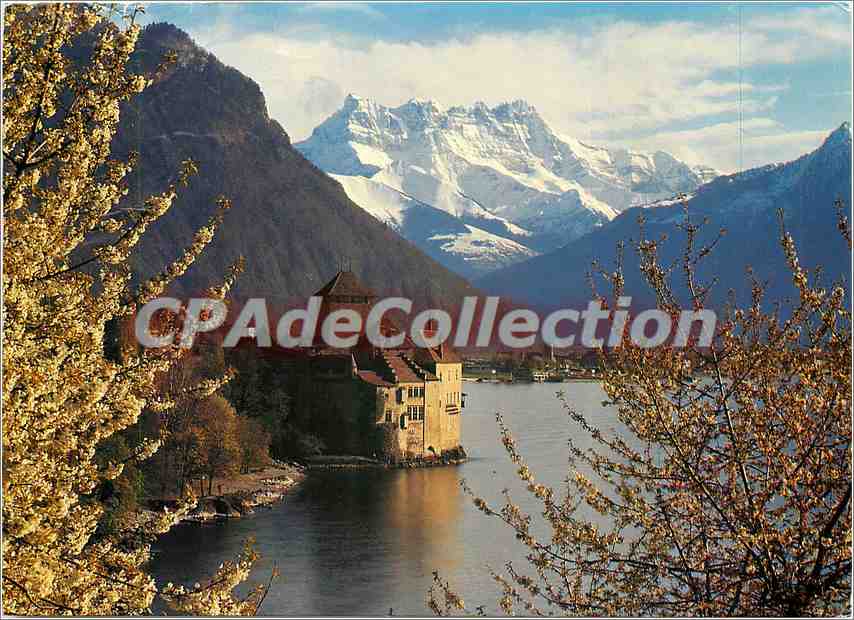 CPSM Chateau de Chillon pres Mortreux lac leman et les Dents du Midi
