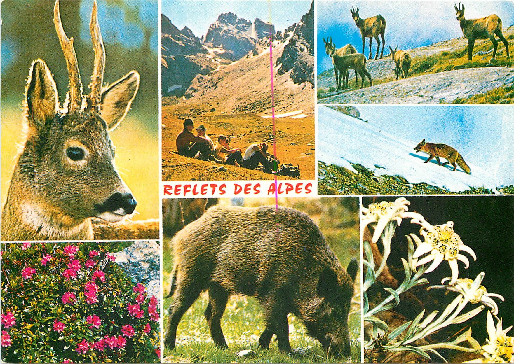 Reflets des Alpes — Éditions Photoguy, série AA 35