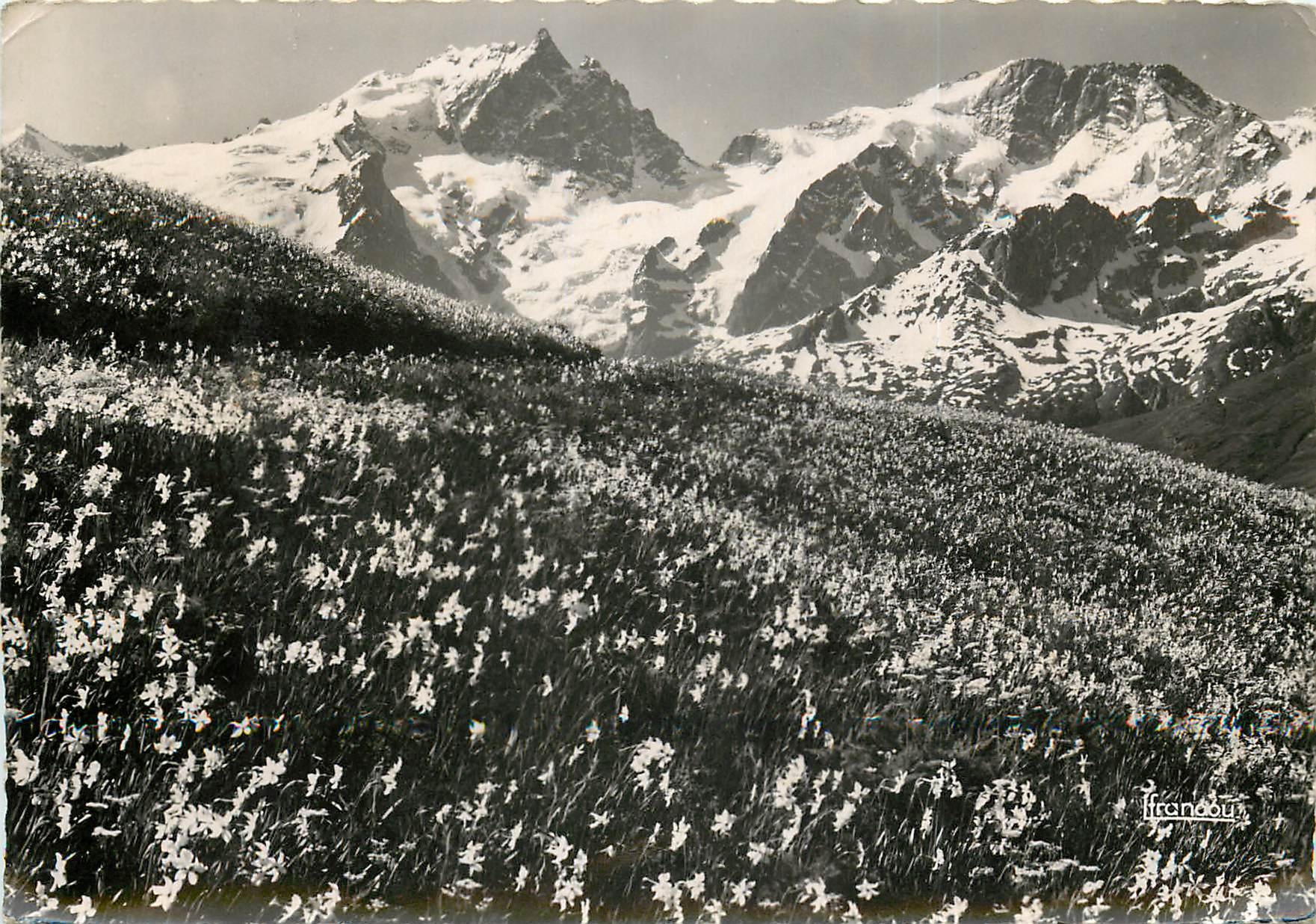 Alpes - Vue du Col de Briançon — Editions Brancou - Recto