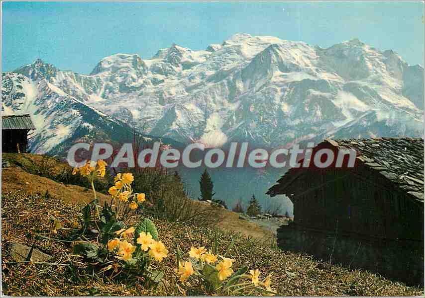 Massif du Mont Blanc — paysage alpin avec chalets et primevères — G. Rosal-Mignod, Édition Plaine