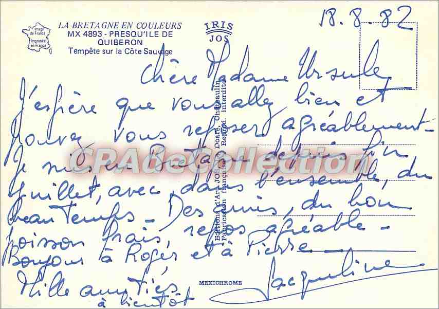 Tempête sur la Côte Sauvage — Quiberon — IRIS JOS — Reverso
