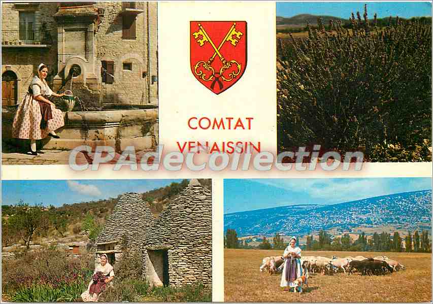 CPSM Les Belles images de Provence Scenes Provencales