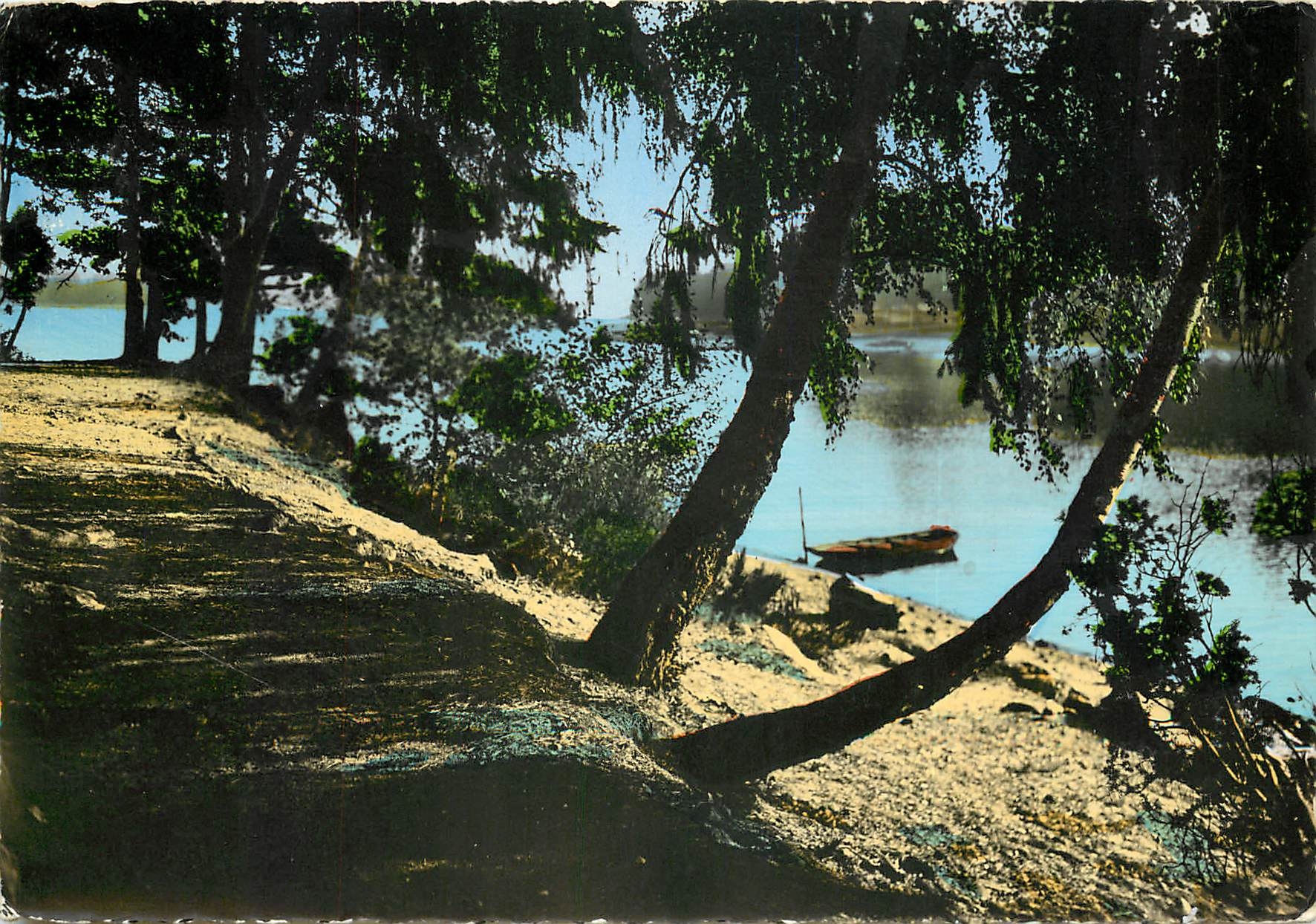 CPSM Le Morvan Touristique les rives ombragees du Lac des Settons (Nievre)