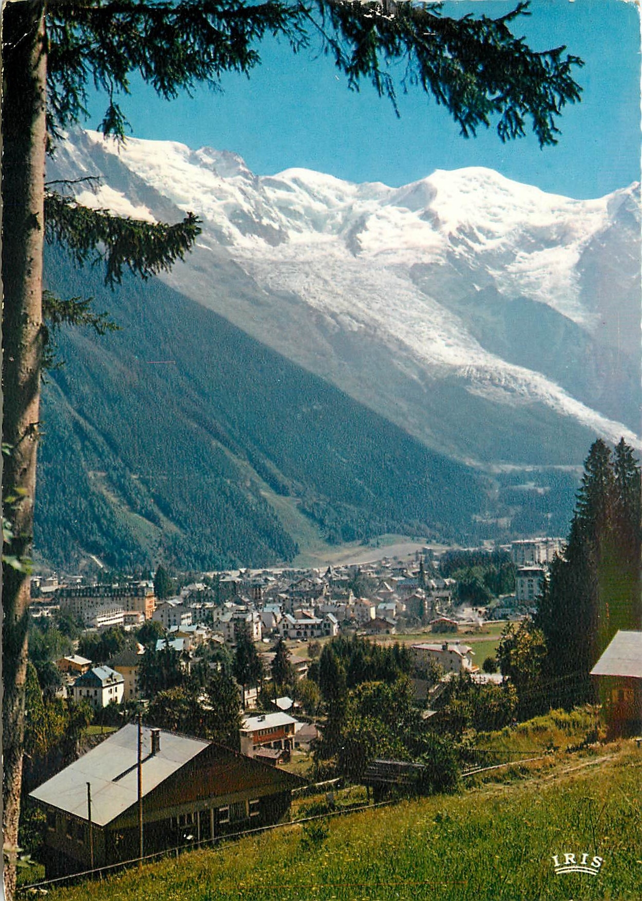CPSM Chamonix Mont Blanc Vue generale l'Aiguille du Midi le Mont Blanc le Dome du Gouter et le Glaci