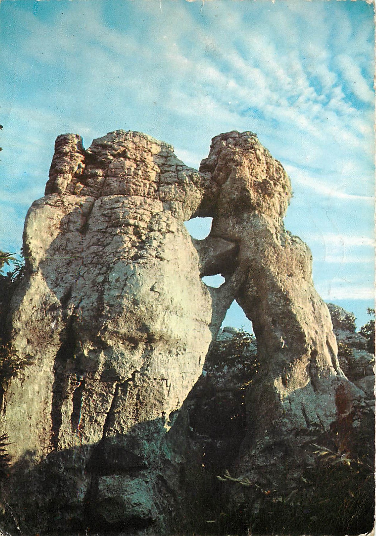 CPSM Paysage du Vivarais le Bois de phiolive l'Ours