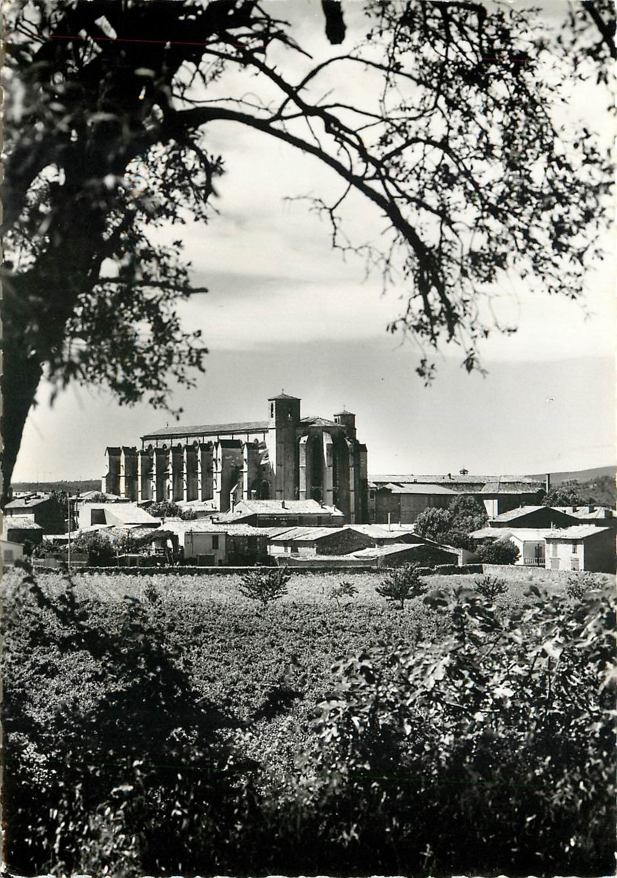 St-Maximin - La Ste-Baume — La basilique Ste-Madeleine (XIIIe s.) — Éditions S.E.P.T. 35, P. Corbella NICE