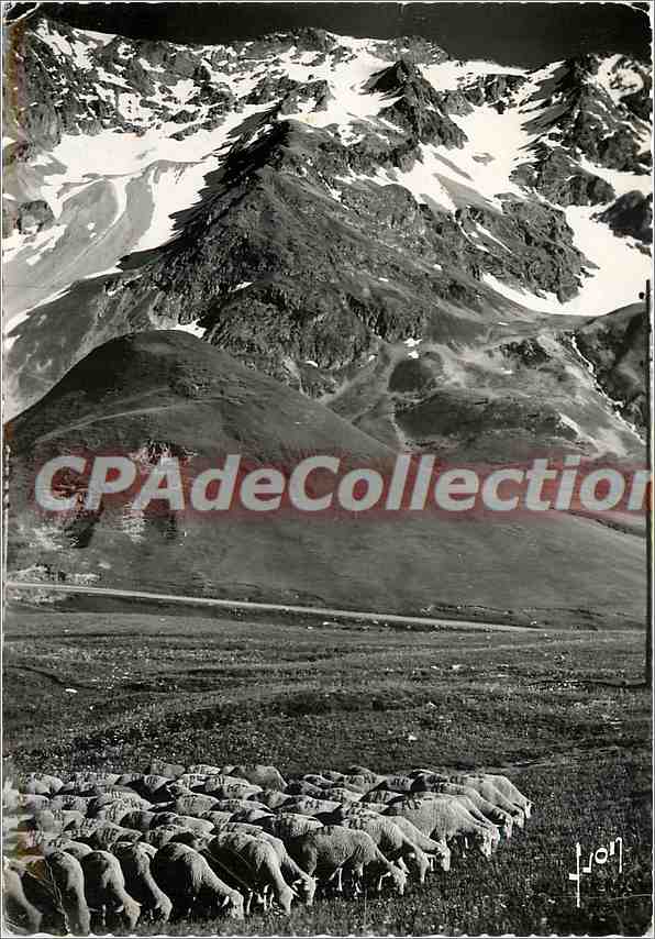 Les Transhumants et le massif du Combeynot — CPAdeCollection — Lion