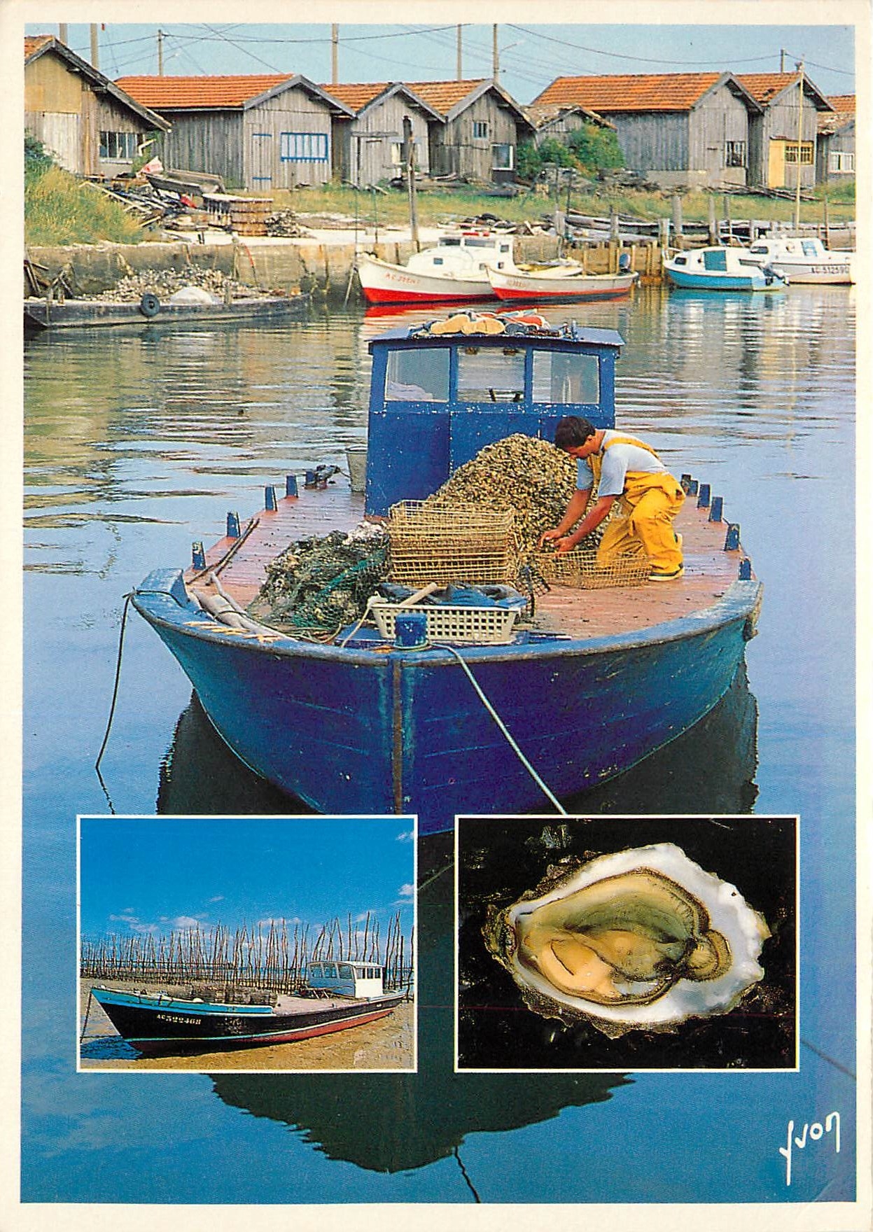 Bassin d'Arcachon — triage des huîtres — Éditions d'Art Jean-Jourdan
