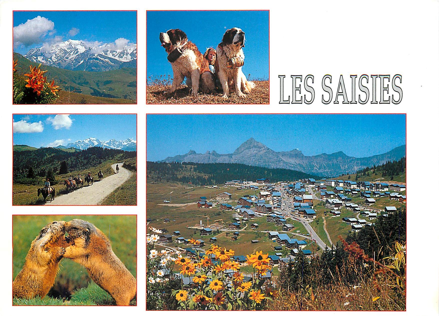 CPSM Les Saisies Savoie France alt 1650 m Station Ete Hiver