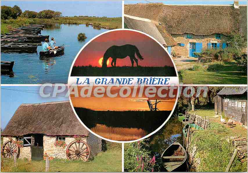 CPSM La Grande Briere (Loire Atlantique) Pays d'herbe et de tourbe