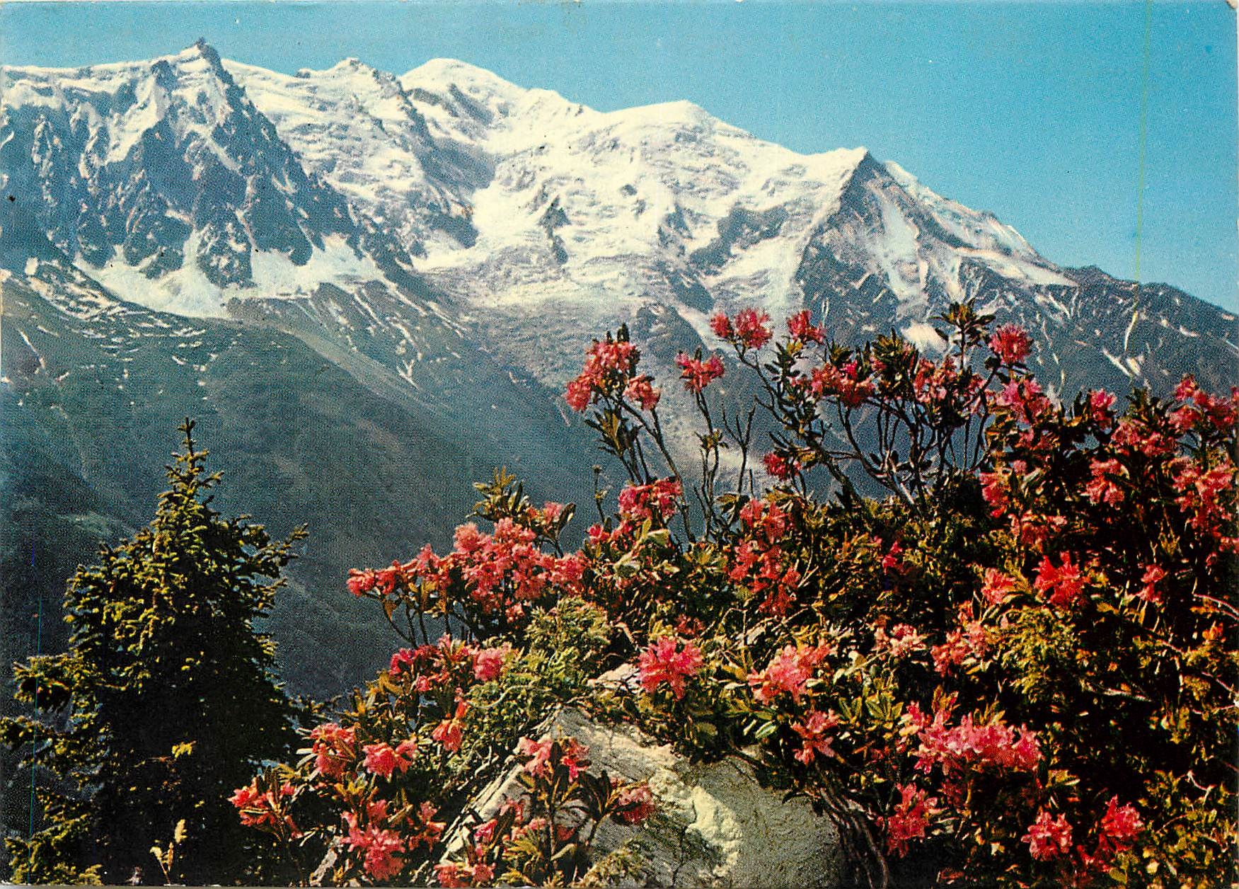 Mont-Blanc — le Rhône, le Roi de la Montagne — éditeur G.R.M. n°7580