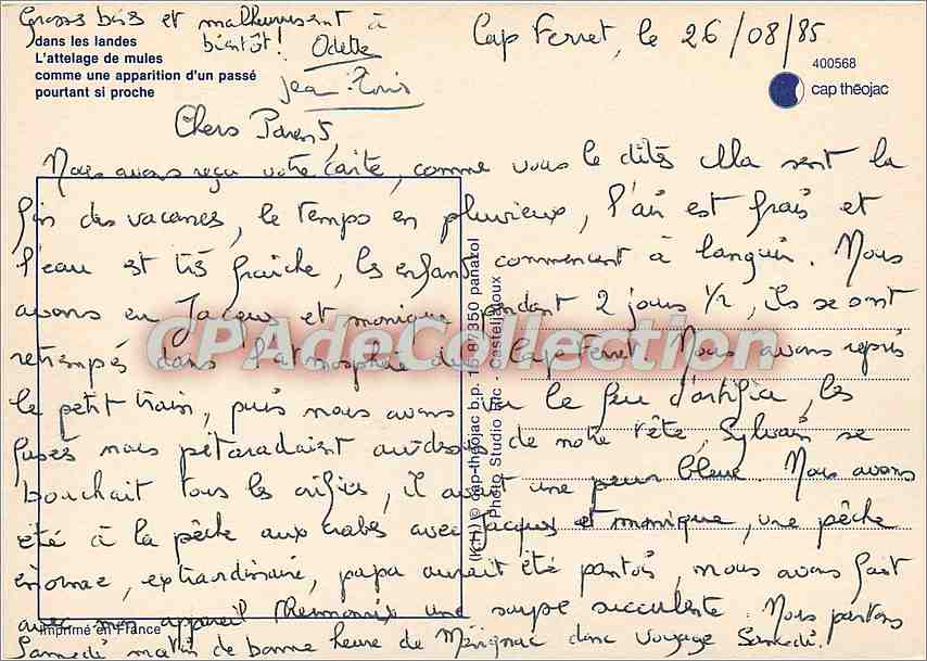 Attelage de mules dans les landes — Cap Fernet — Studio Théo Jac — Rückseite