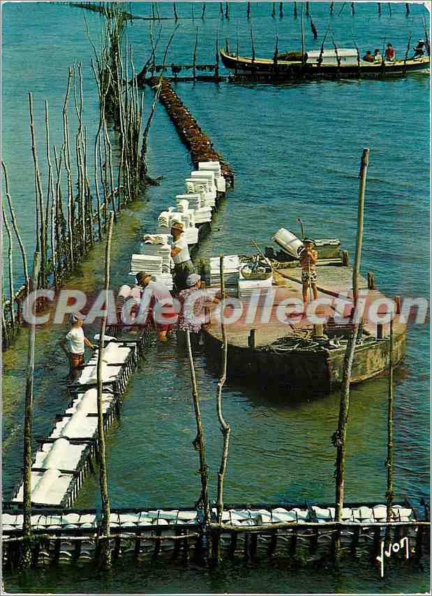 Dachschale - Bassin d'Arcachon — Art-Editionen, Nr. 1037